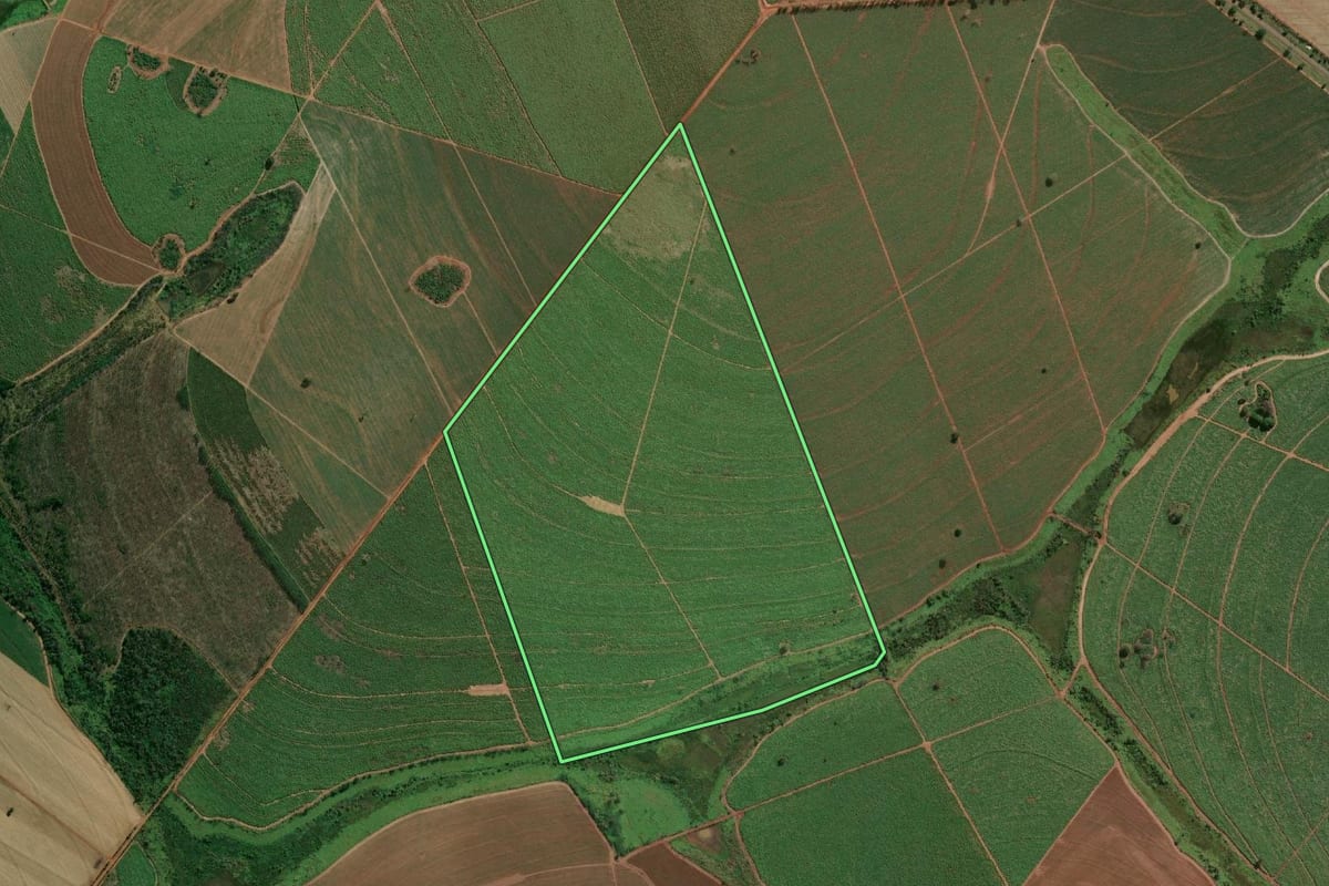 Imagem de satélite do imóvel rural em Ilha Solteira (SP), com o contorno declarado no CAR desenhado por cima.