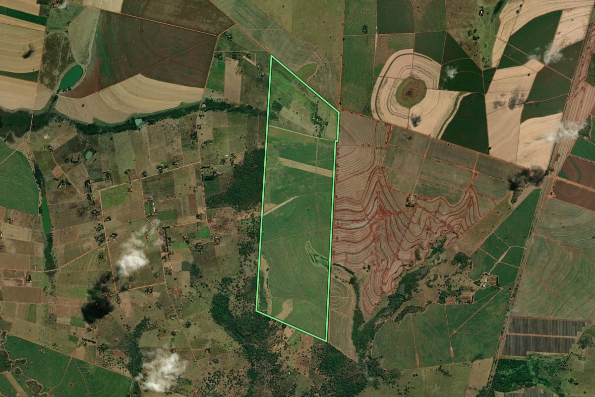 Imagem de satélite do imóvel rural em Ilha Solteira (SP), com o contorno declarado no CAR desenhado por cima.