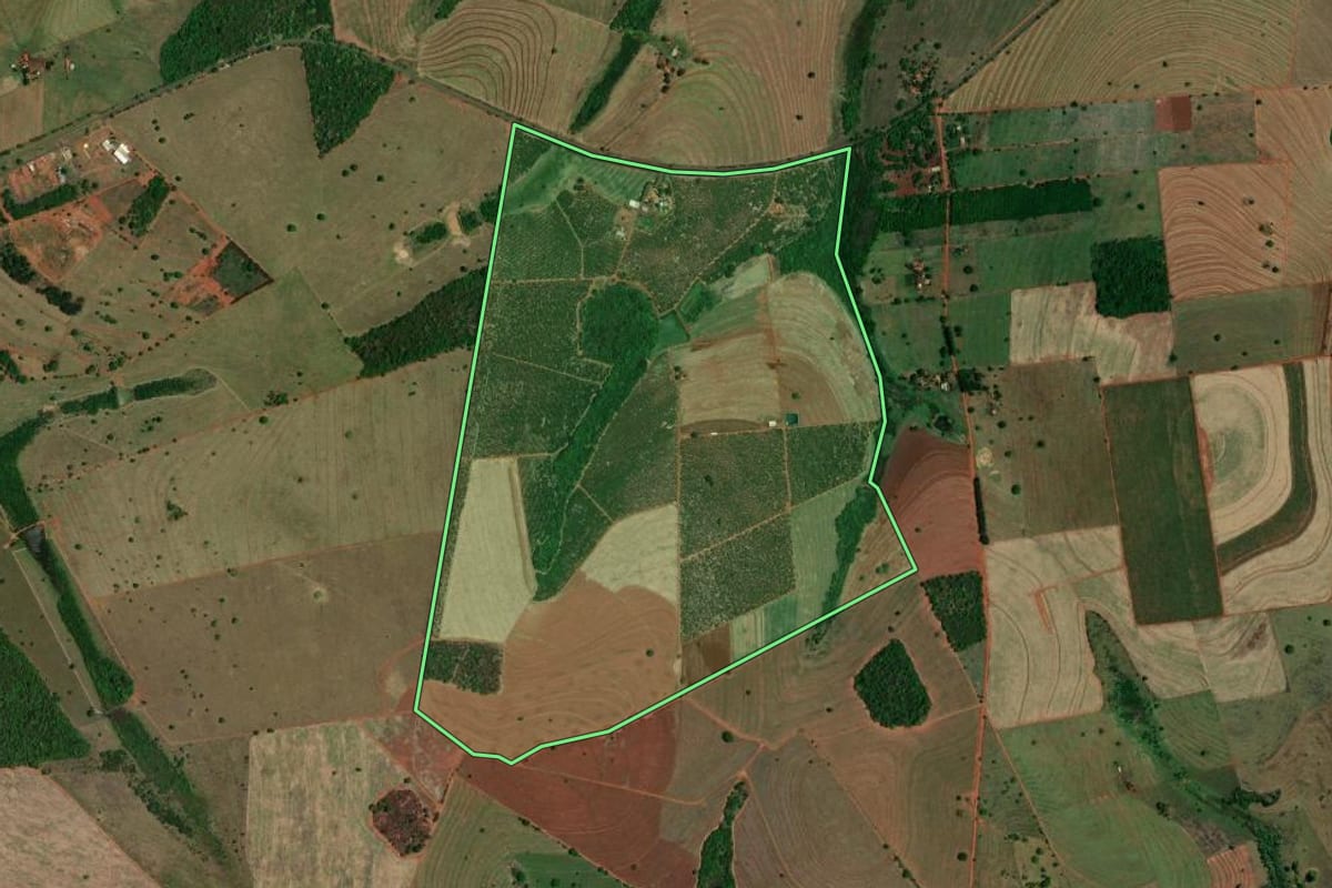 Imagem de satélite do imóvel rural em Indiaporã (SP), com o contorno declarado no CAR desenhado por cima.