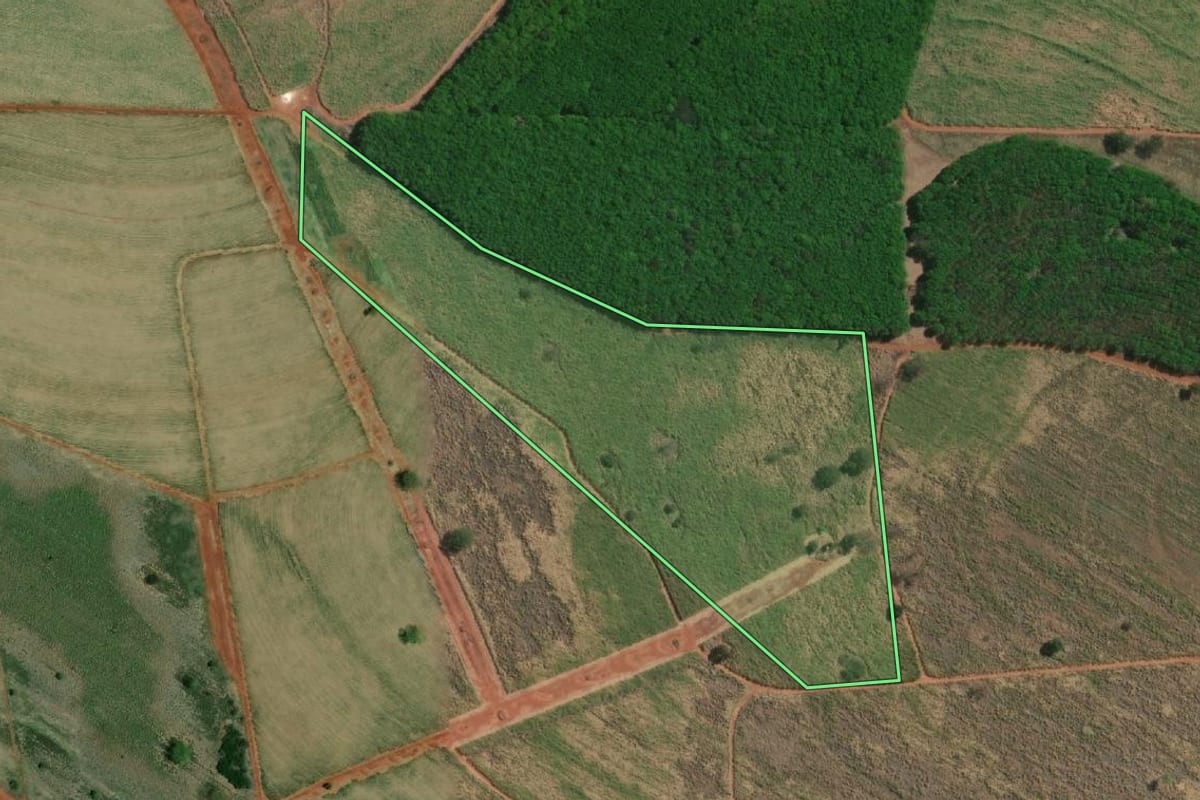 Imagem de satélite do imóvel rural em Indiaporã (SP), com o contorno declarado no CAR desenhado por cima.