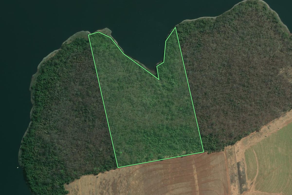 Imagem de satélite do imóvel rural em Indiaporã (SP), com o contorno declarado no CAR desenhado por cima.