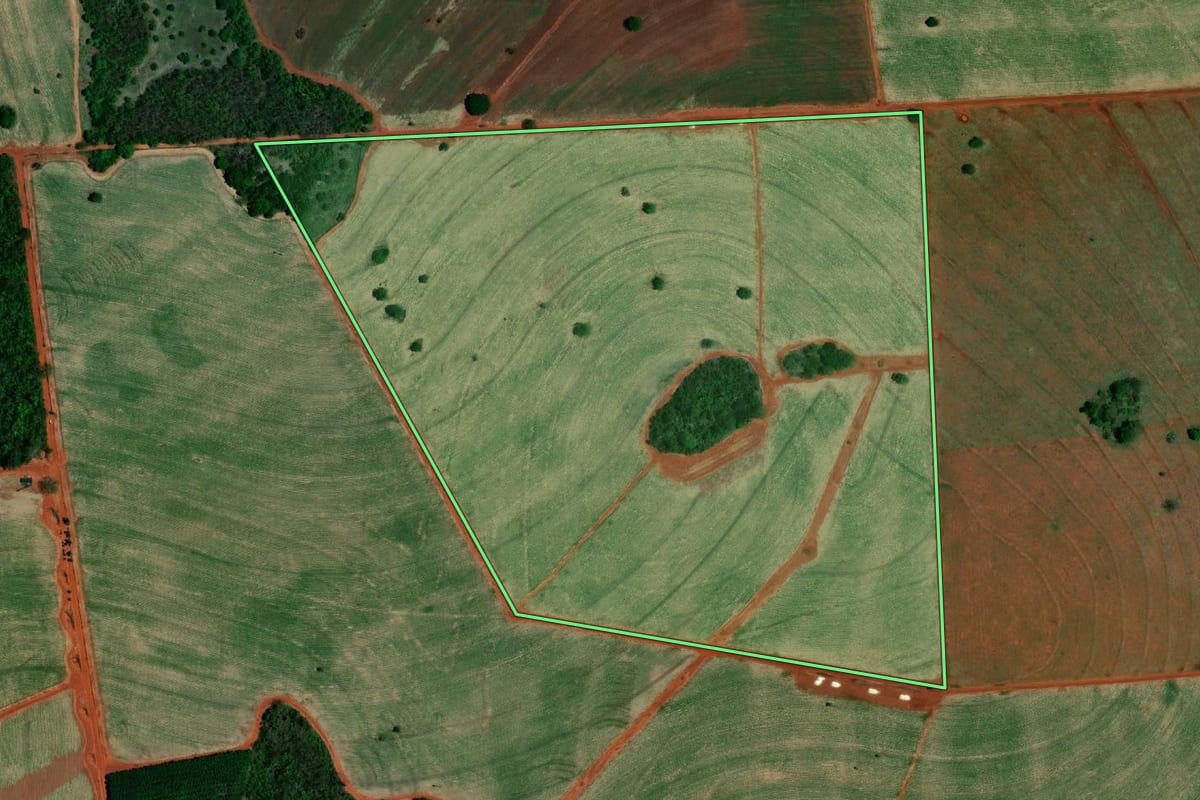 Imagem de satélite do imóvel rural em Indiaporã (SP), com o contorno declarado no CAR desenhado por cima.