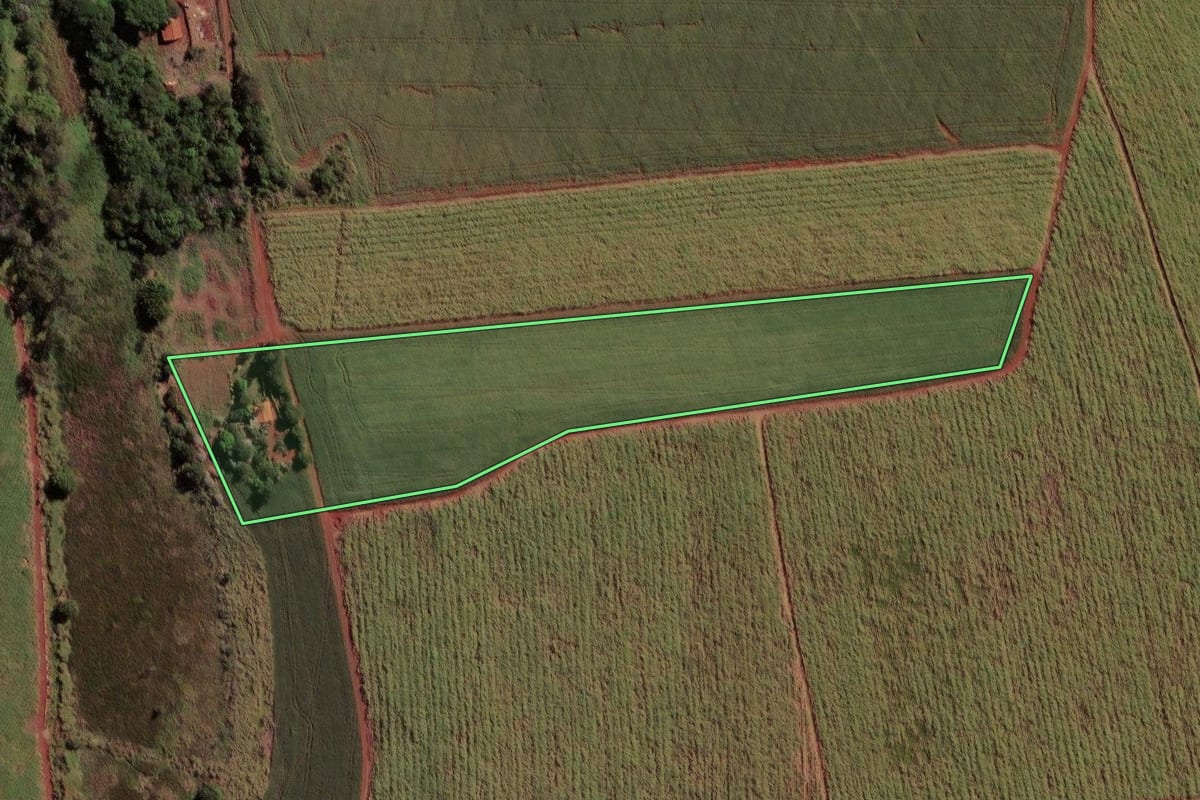 Imagem de satélite do imóvel rural em Ipaussu (SP), com o contorno declarado no CAR desenhado por cima.