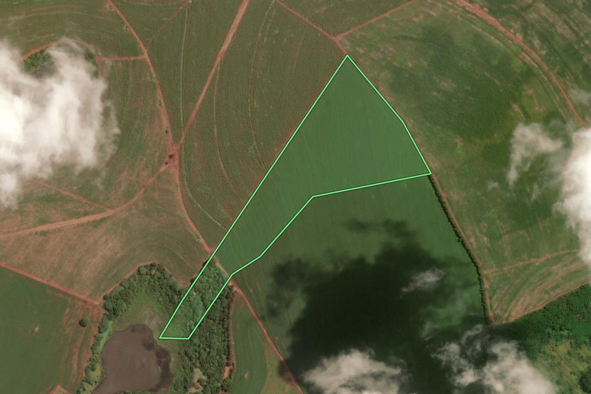 Imagem de satélite do imóvel rural em Ipaussu (SP), com o contorno declarado no CAR desenhado por cima.