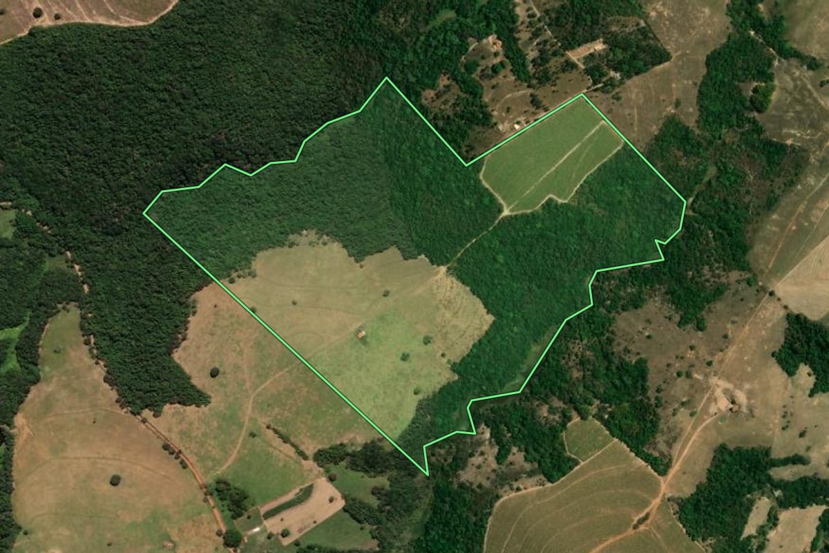 Imagem de satélite do imóvel rural em Ipeúna (SP), com o contorno declarado no CAR desenhado por cima.