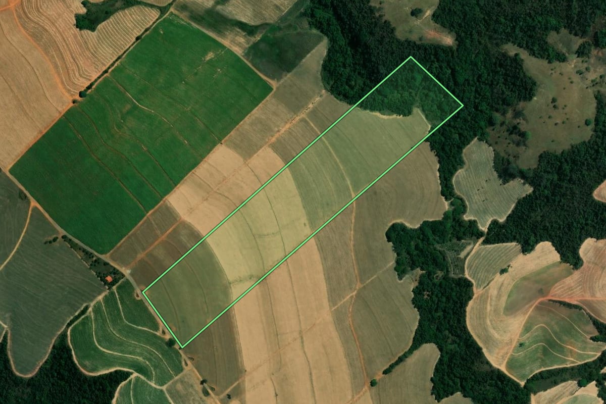 Imagem de satélite do imóvel rural em Ipeúna (SP), com o contorno declarado no CAR desenhado por cima.