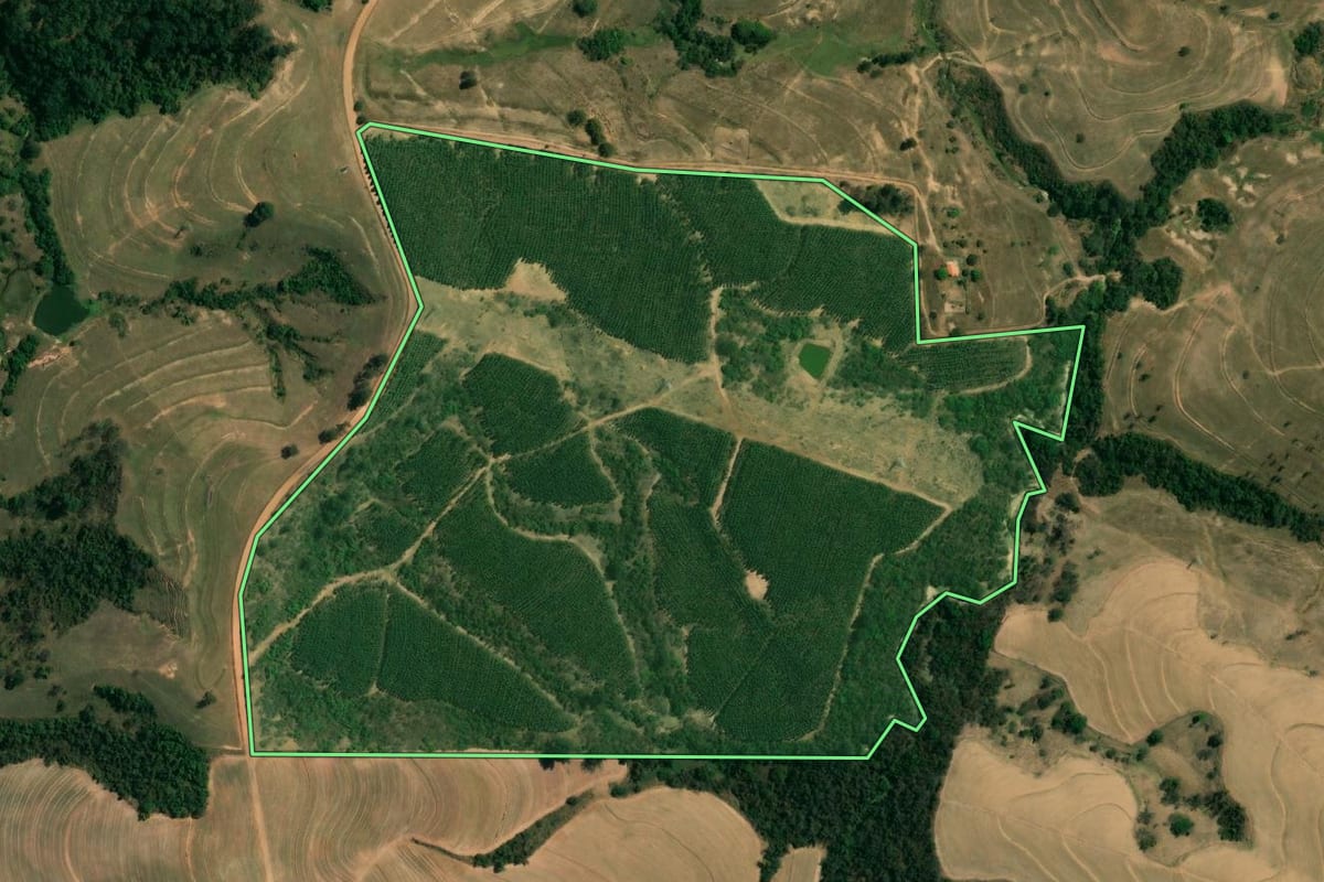 Imagem de satélite do imóvel rural em Ipeúna (SP), com o contorno declarado no CAR desenhado por cima.
