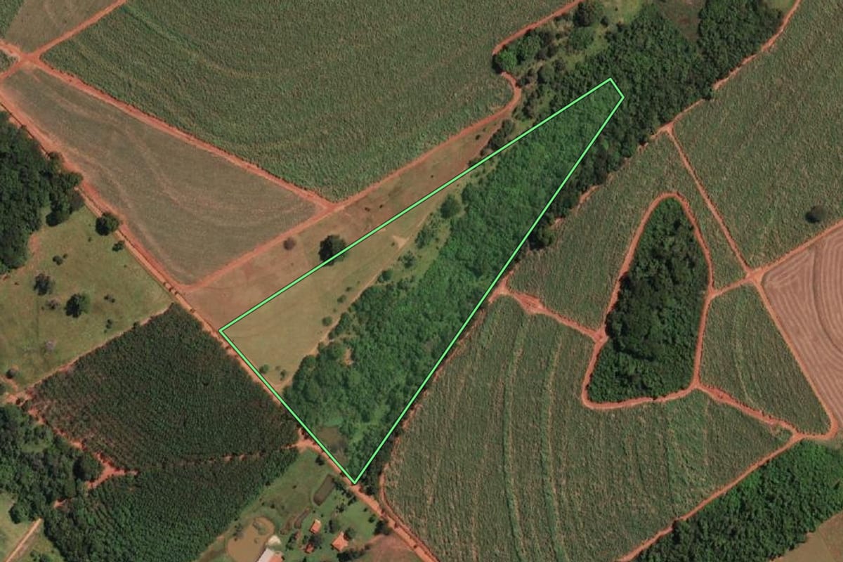 Imagem de satélite do imóvel rural em Ipiguá (SP), com o contorno declarado no CAR desenhado por cima.