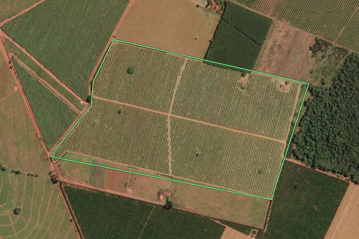 Imagem de satélite do imóvel rural em Ipiguá (SP), com o contorno declarado no CAR desenhado por cima.