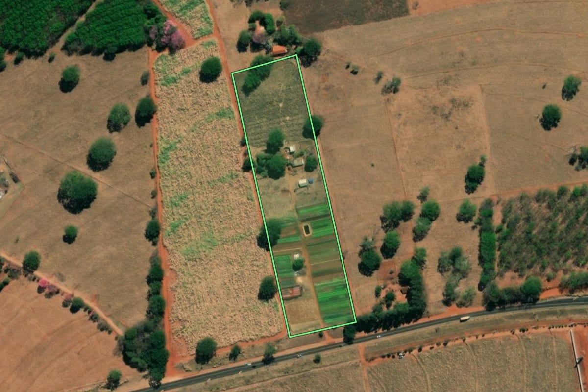Imagem de satélite do imóvel rural em Ipiguá (SP), com o contorno declarado no CAR desenhado por cima.