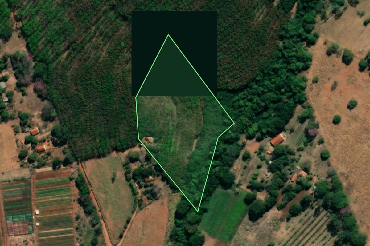 Imagem de satélite do imóvel rural em Ipiguá (SP), com o contorno declarado no CAR desenhado por cima.