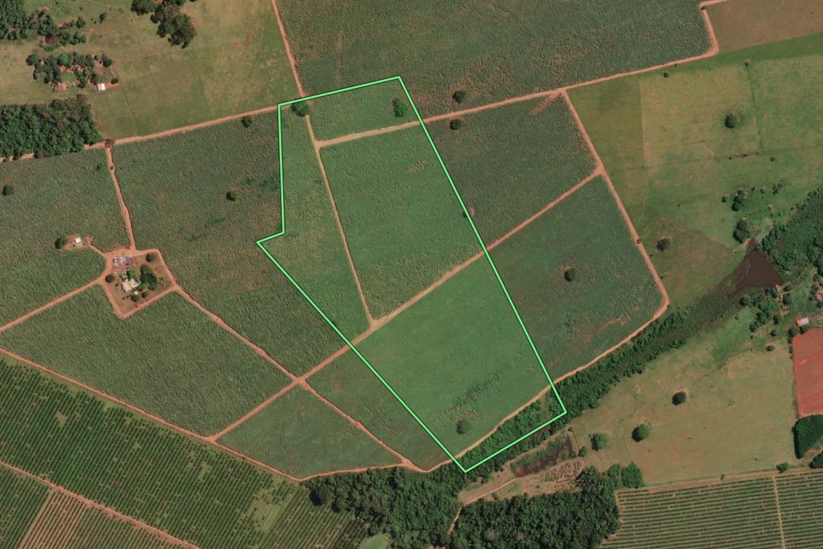 Imagem de satélite do imóvel rural em Ipiguá (SP), com o contorno declarado no CAR desenhado por cima.