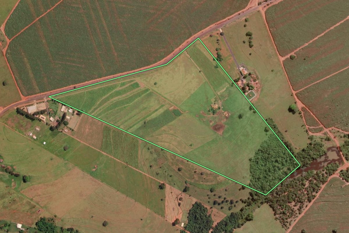 Imagem de satélite do imóvel rural em Ipiguá (SP), com o contorno declarado no CAR desenhado por cima.