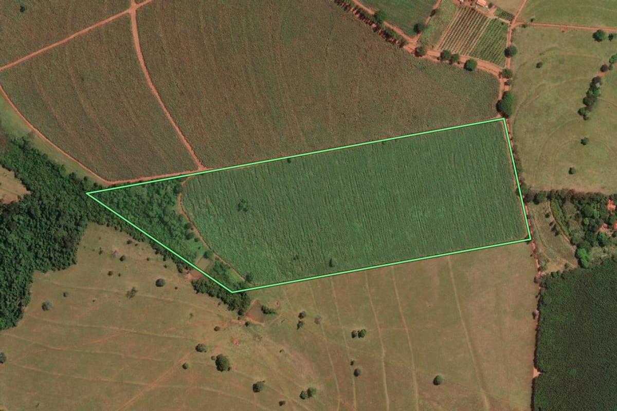 Imagem de satélite do imóvel rural em Ipiguá (SP), com o contorno declarado no CAR desenhado por cima.