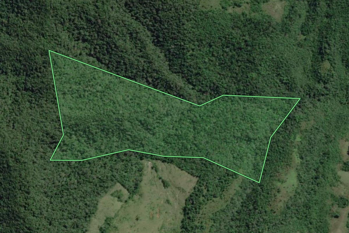 Imagem de satélite do imóvel rural em Iporanga (SP), com o contorno declarado no CAR desenhado por cima.