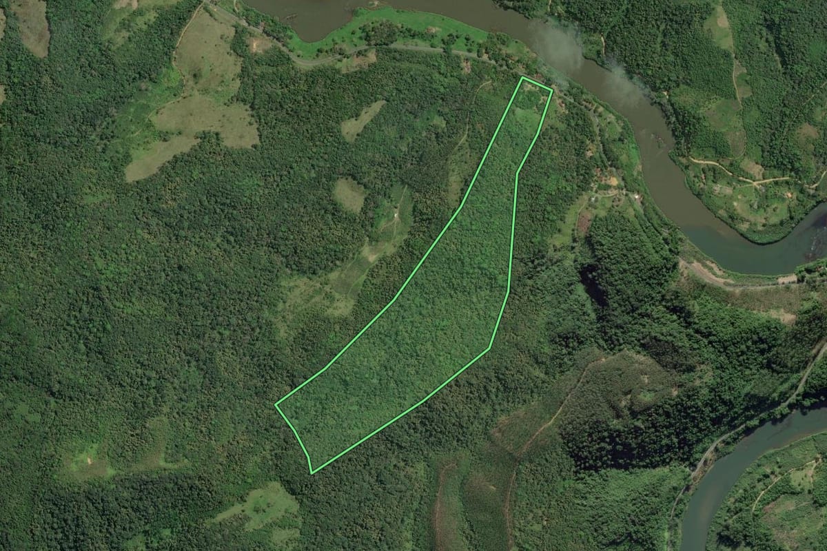 Imagem de satélite do imóvel rural em Iporanga (SP), com o contorno declarado no CAR desenhado por cima.