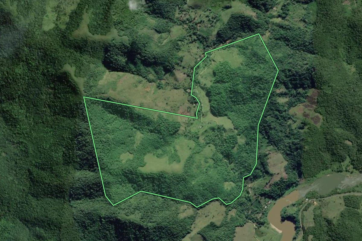 Imagem de satélite do imóvel rural em Iporanga (SP), com o contorno declarado no CAR desenhado por cima.