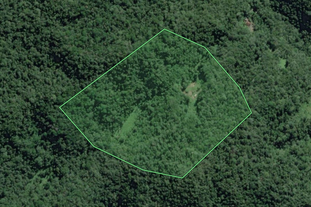 Imagem de satélite do imóvel rural em Iporanga (SP), com o contorno declarado no CAR desenhado por cima.