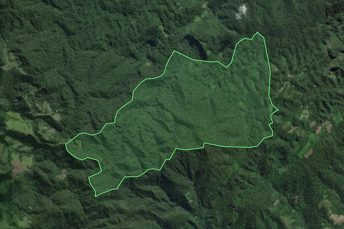 Imagem de satélite do imóvel rural em Iporanga (SP), com o contorno declarado no CAR desenhado por cima.