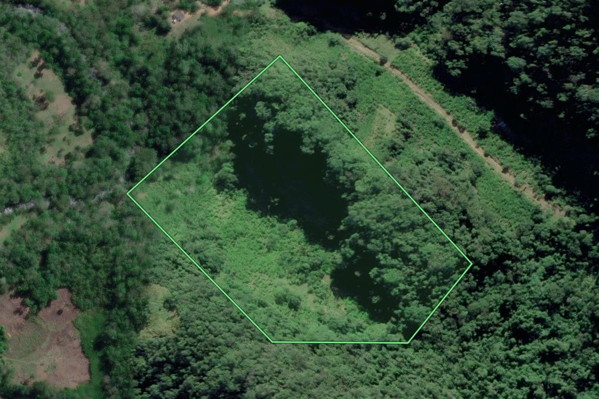 Imagem de satélite do imóvel rural em Iporanga (SP), com o contorno declarado no CAR desenhado por cima.
