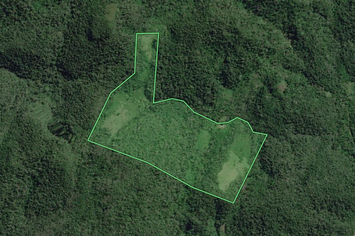 Imagem de satélite do imóvel rural em Iporanga (SP), com o contorno declarado no CAR desenhado por cima.