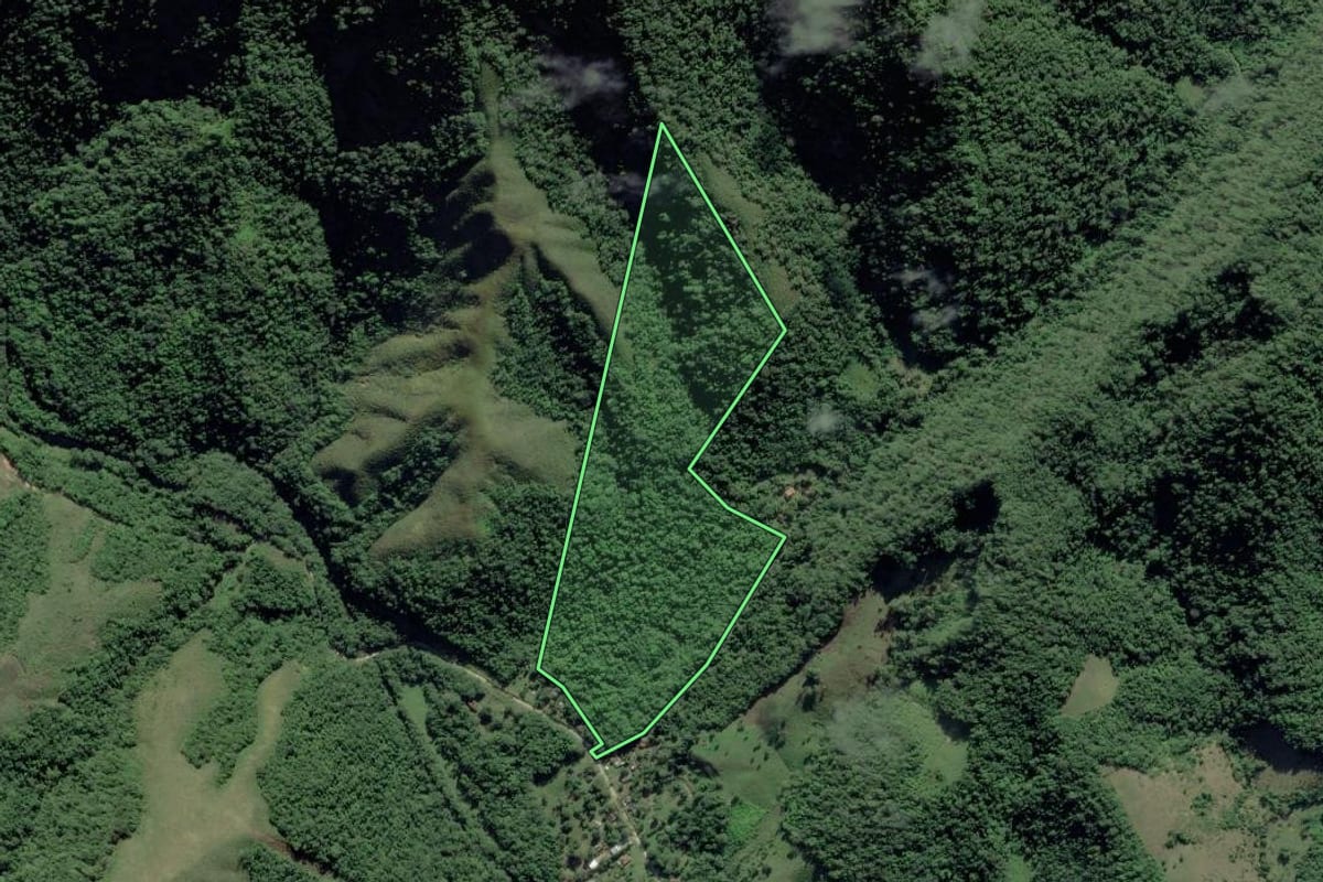 Imagem de satélite do imóvel rural em Iporanga (SP), com o contorno declarado no CAR desenhado por cima.