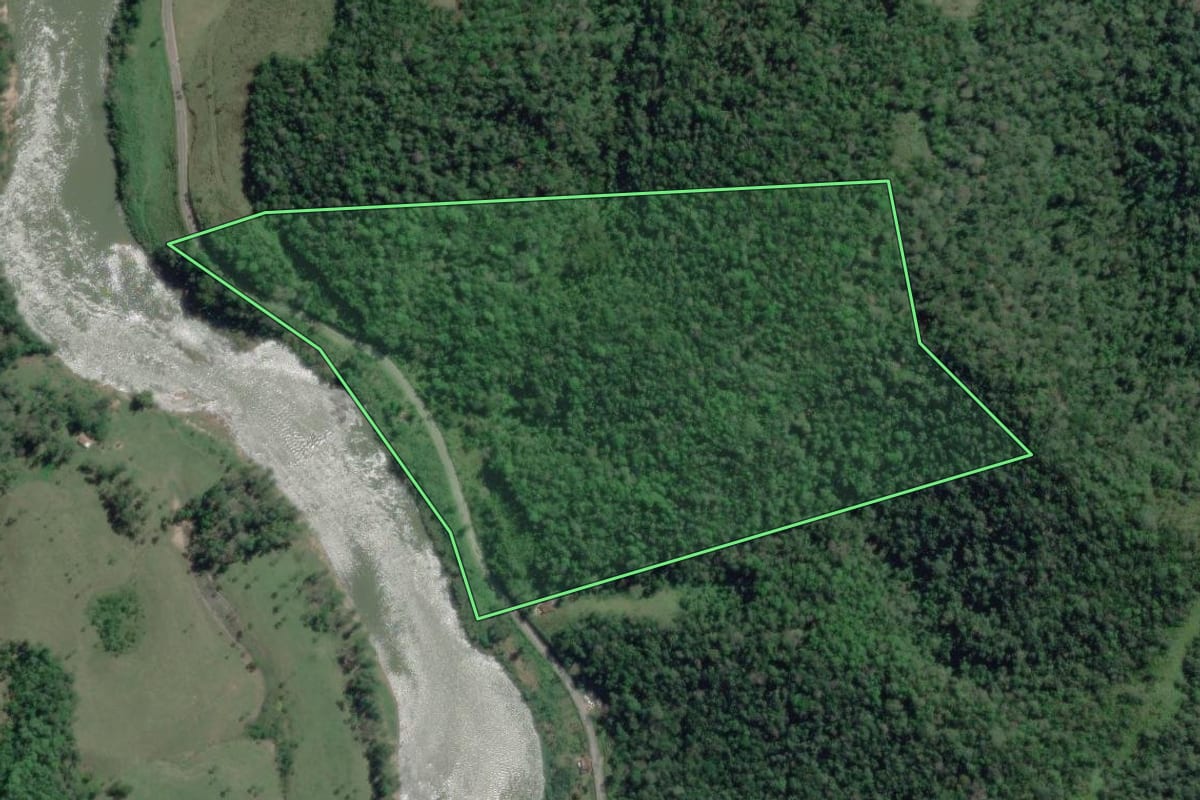 Imagem de satélite do imóvel rural em Iporanga (SP), com o contorno declarado no CAR desenhado por cima.