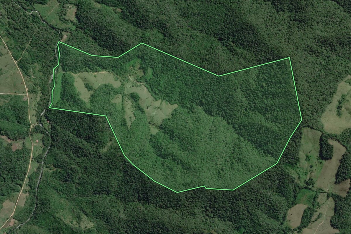 Imagem de satélite do imóvel rural em Iporanga (SP), com o contorno declarado no CAR desenhado por cima.