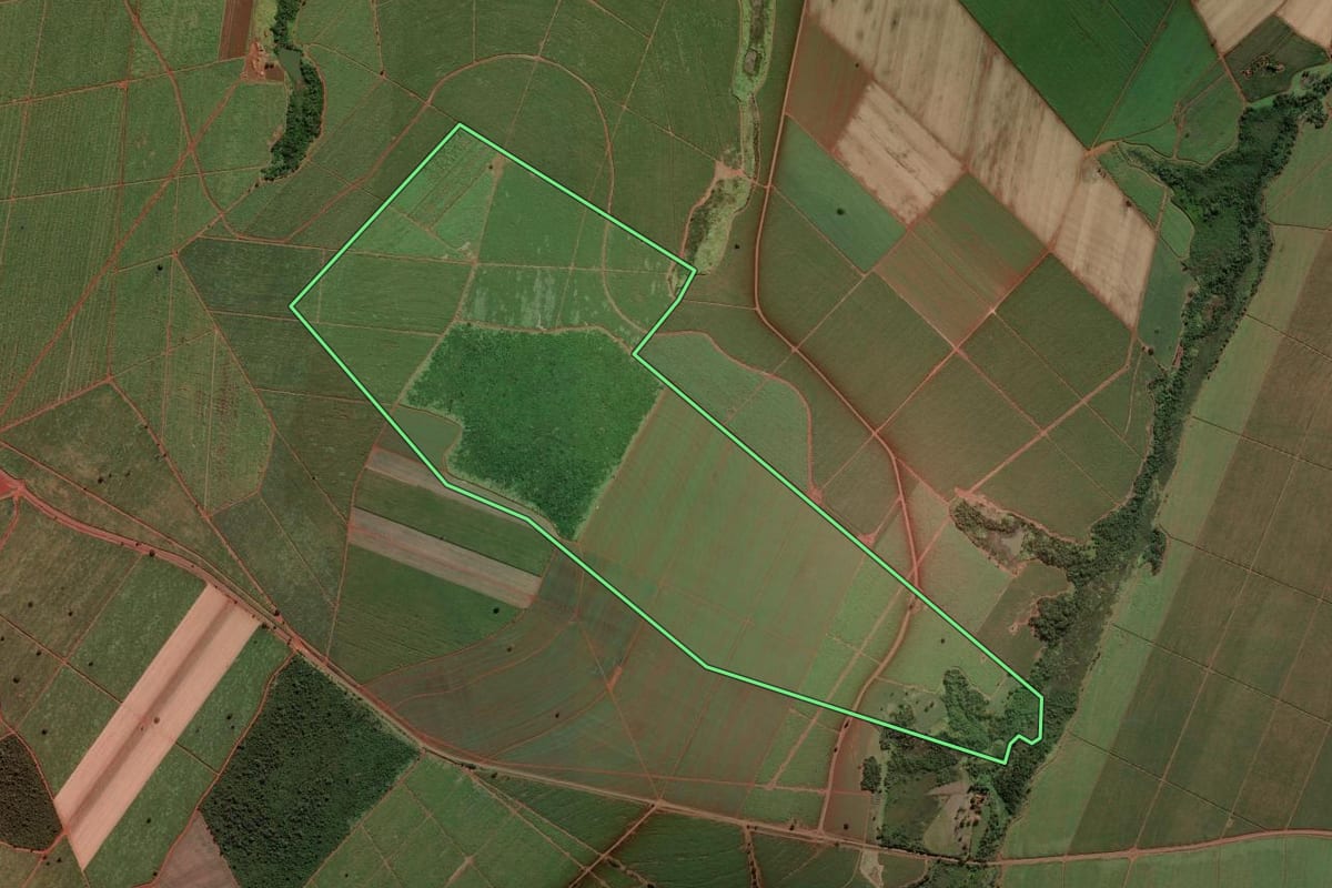 Imagem de satélite do imóvel rural em Ipuã (SP), com o contorno declarado no CAR desenhado por cima.