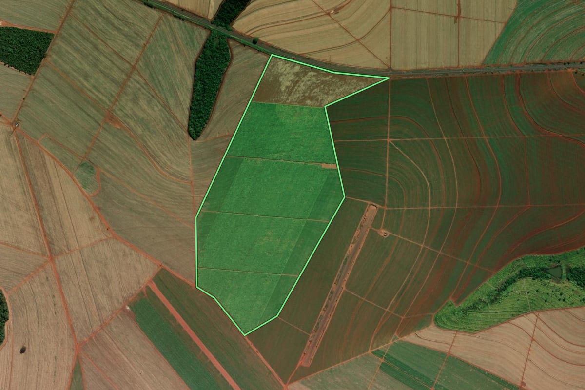 Imagem de satélite do imóvel rural em Ipuã (SP), com o contorno declarado no CAR desenhado por cima.