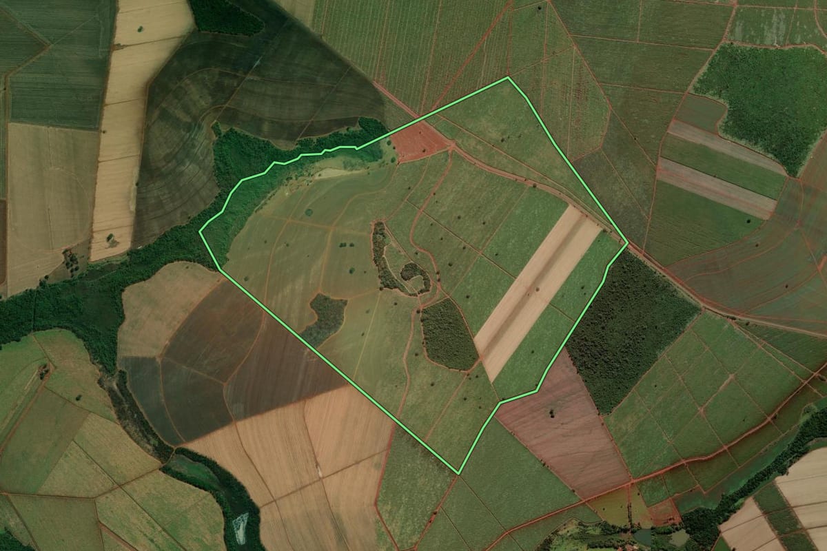 Imagem de satélite do imóvel rural em Ipuã (SP), com o contorno declarado no CAR desenhado por cima.