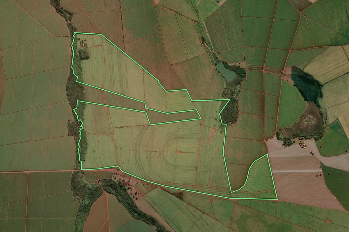 Imagem de satélite do imóvel rural em Ipuã (SP), com o contorno declarado no CAR desenhado por cima.