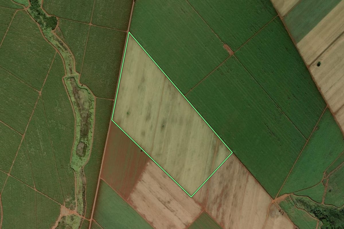 Imagem de satélite do imóvel rural em Ipuã (SP), com o contorno declarado no CAR desenhado por cima.