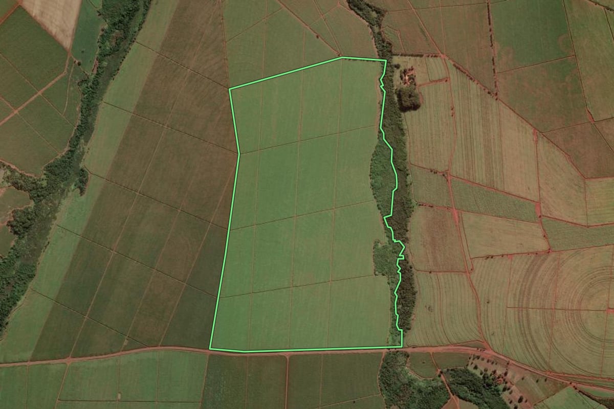 Imagem de satélite do imóvel rural em Ipuã (SP), com o contorno declarado no CAR desenhado por cima.