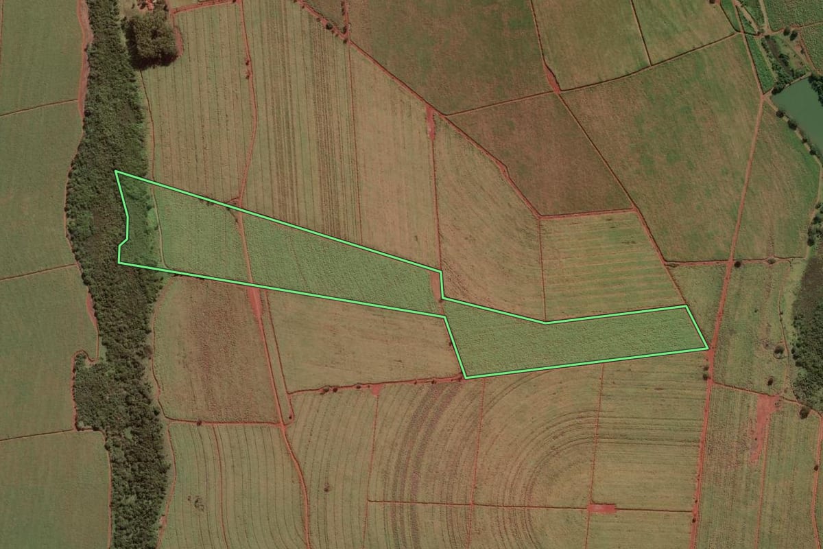 Imagem de satélite do imóvel rural em Ipuã (SP), com o contorno declarado no CAR desenhado por cima.