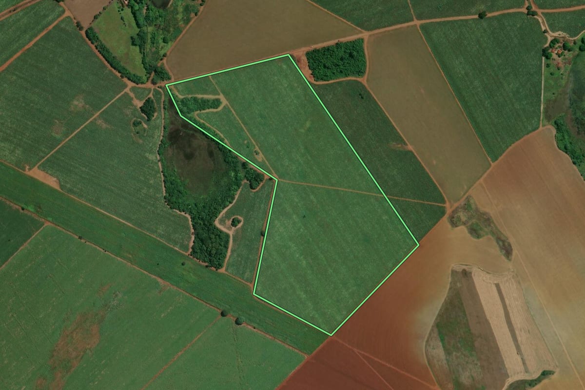 Imagem de satélite do imóvel rural em Ipuã (SP), com o contorno declarado no CAR desenhado por cima.
