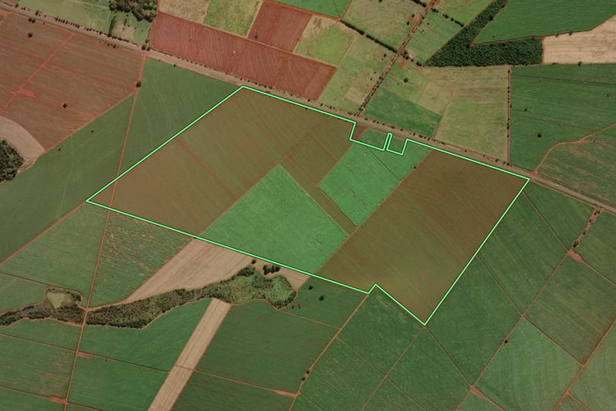 Imagem de satélite do imóvel rural em Ipuã (SP), com o contorno declarado no CAR desenhado por cima.
