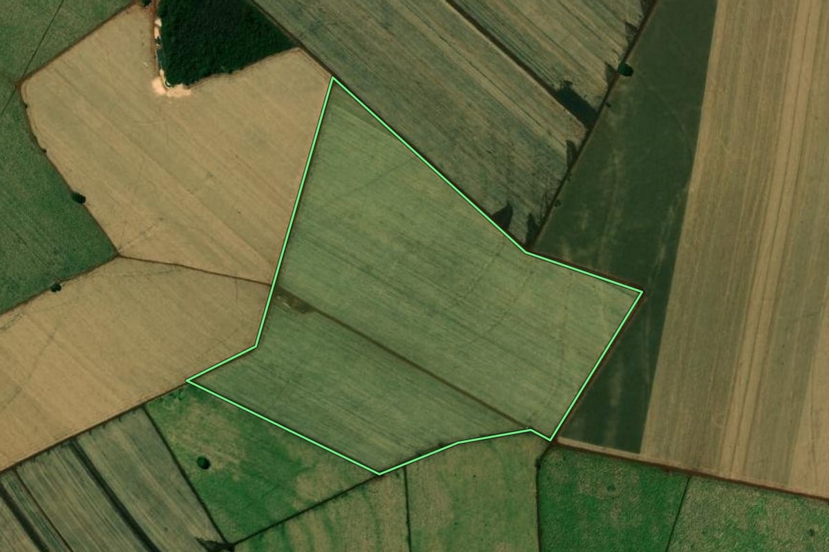Imagem de satélite do imóvel rural em Ipuã (SP), com o contorno declarado no CAR desenhado por cima.