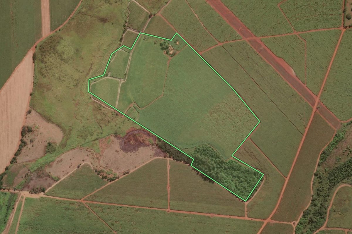 Imagem de satélite do imóvel rural em Iracemápolis (SP), com o contorno declarado no CAR desenhado por cima.
