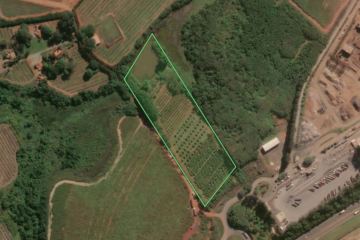 Imagem de satélite do imóvel rural em Iracemápolis (SP), com o contorno declarado no CAR desenhado por cima.