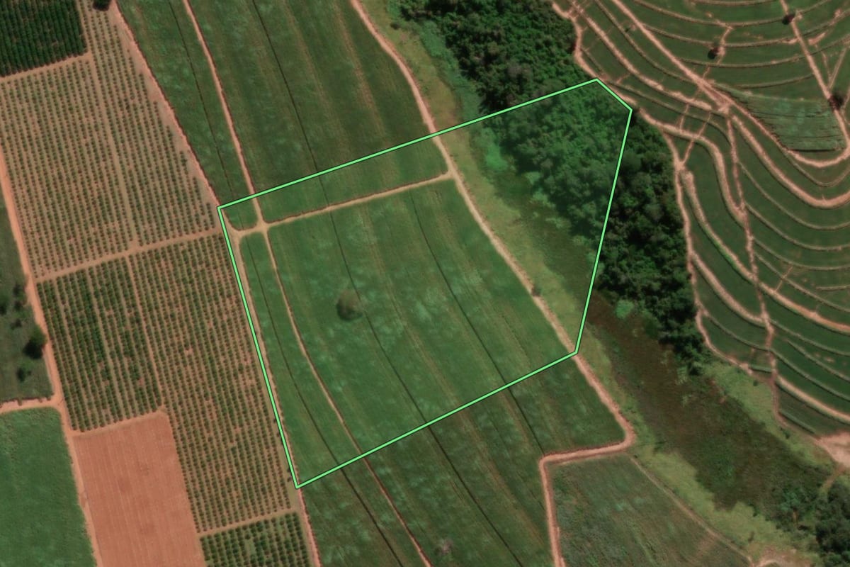 Imagem de satélite do imóvel rural em Irapuã (SP), com o contorno declarado no CAR desenhado por cima.