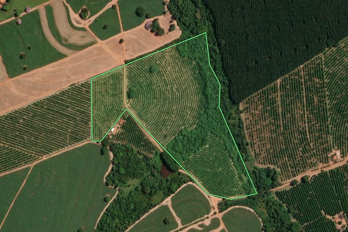 Imagem de satélite do imóvel rural em Irapuã (SP), com o contorno declarado no CAR desenhado por cima.