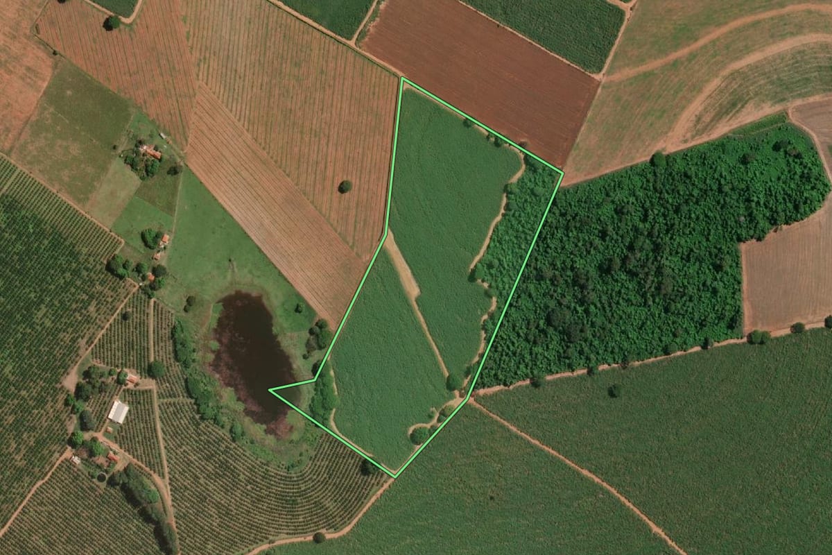 Imagem de satélite do imóvel rural em Irapuã (SP), com o contorno declarado no CAR desenhado por cima.