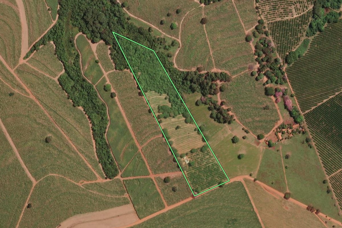 Imagem de satélite do imóvel rural em Irapuã (SP), com o contorno declarado no CAR desenhado por cima.