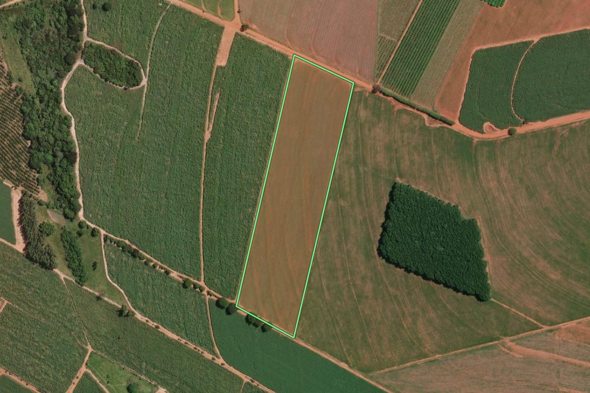 Imagem de satélite do imóvel rural em Irapuã (SP), com o contorno declarado no CAR desenhado por cima.