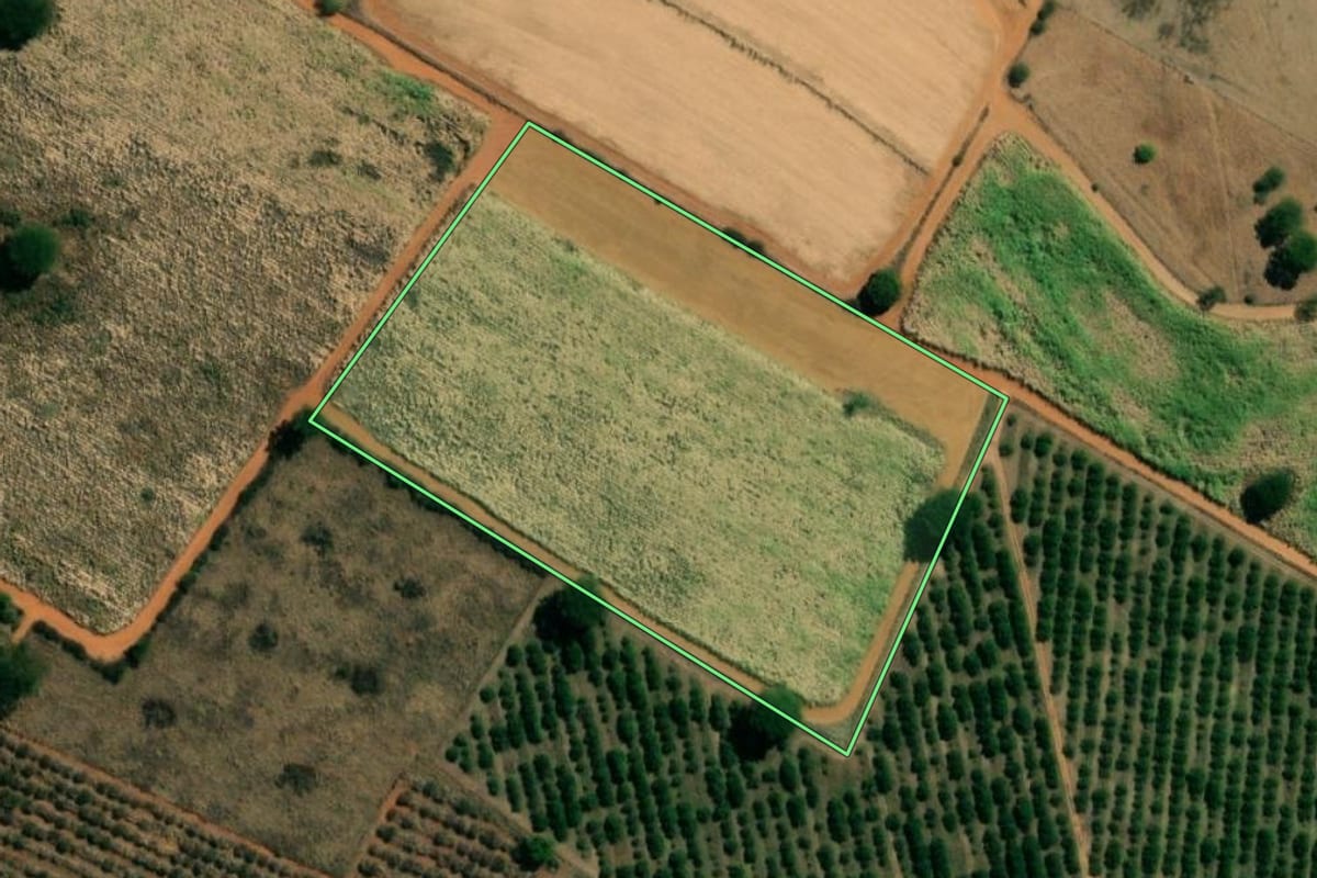 Imagem de satélite do imóvel rural em Irapuã (SP), com o contorno declarado no CAR desenhado por cima.