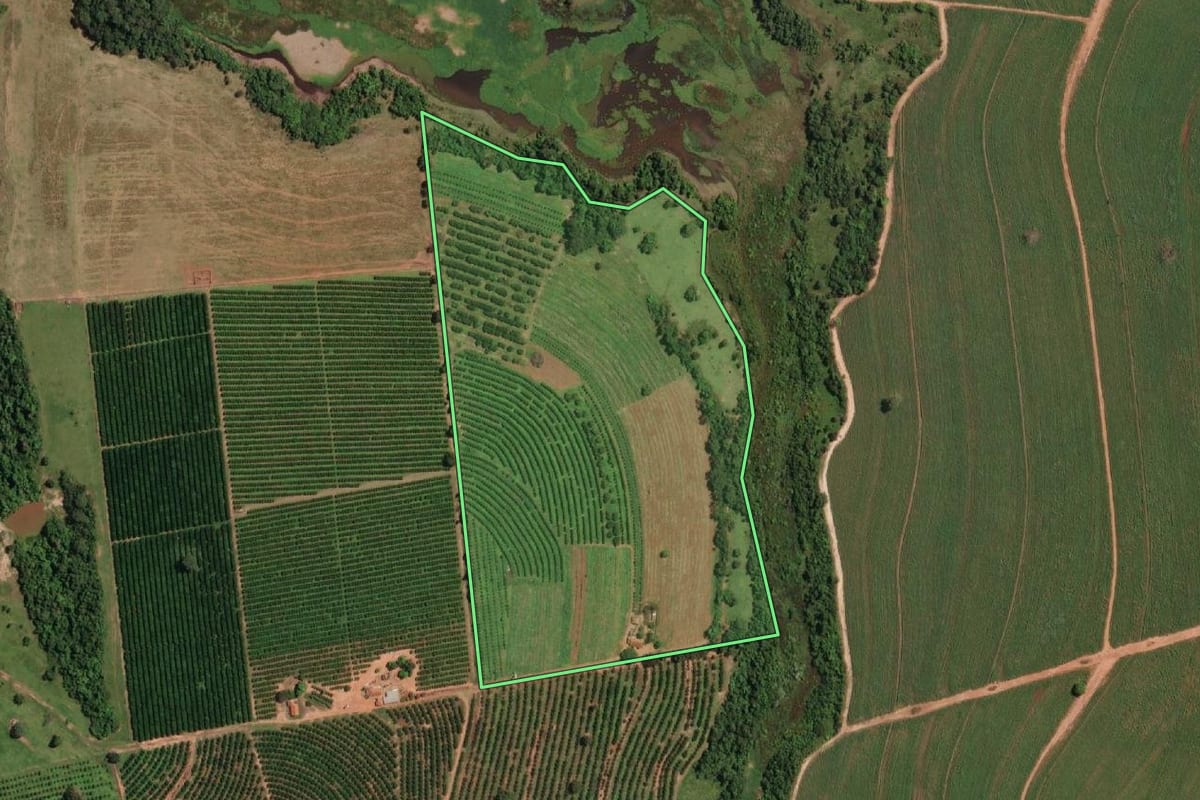 Imagem de satélite do imóvel rural em Irapuã (SP), com o contorno declarado no CAR desenhado por cima.