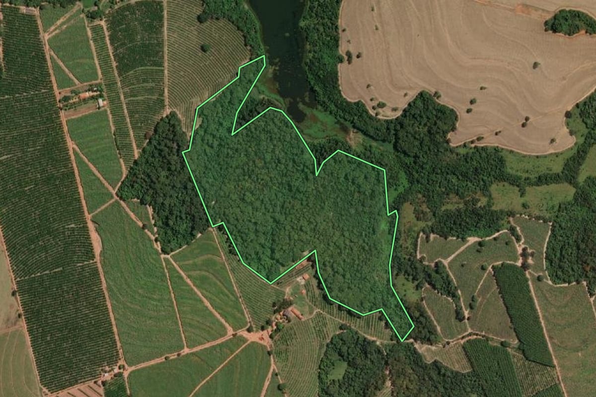 Imagem de satélite do imóvel rural em Irapuã (SP), com o contorno declarado no CAR desenhado por cima.