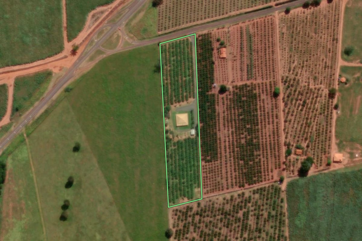 Imagem de satélite do imóvel rural em Irapuã (SP), com o contorno declarado no CAR desenhado por cima.