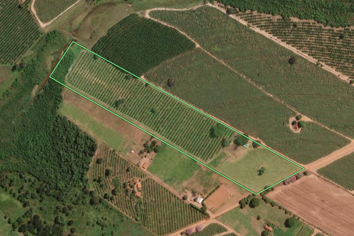 Imagem de satélite do imóvel rural em Irapuã (SP), com o contorno declarado no CAR desenhado por cima.